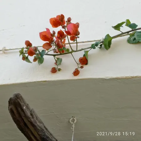 Appartement Casa Luciano